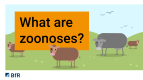 What are zoonoses?
