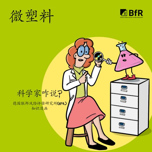 微塑料 科学家咋说? 德国联邦风险评估研究所(bfr) 知识漫画