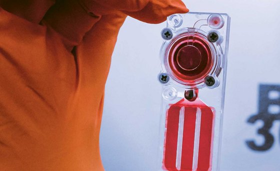 Hand in orangefarbenem Handschuh hält zwischen Daumen und Mittelfinger senkrecht einen Plastikchip. In einer runden Vertiefung befinden sich knochenbildende Zellen.