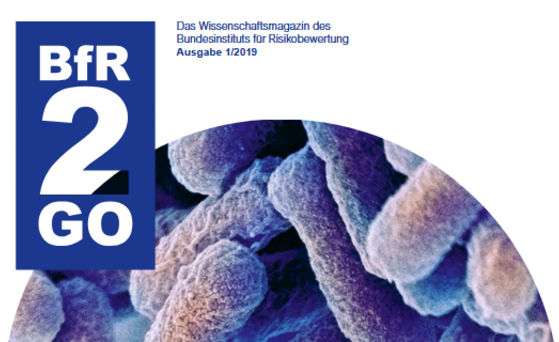 Cover BfR2GO 1/2019