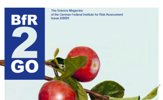 Cover BfR2GO 2/2021