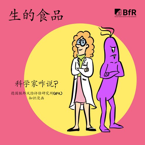 生的食品 科学家咋说? 德国联邦风险评估研究所(bfr) 知识漫画
