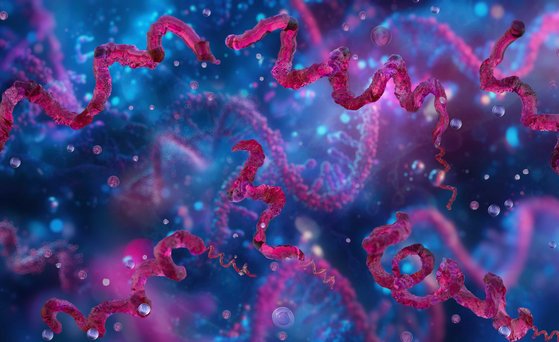 Mikroskopaufnahme Campylobacter 