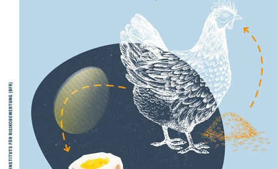 Cover BfR2GO Ausgabe 1/2023 Schwerpunktthema Futtermittel