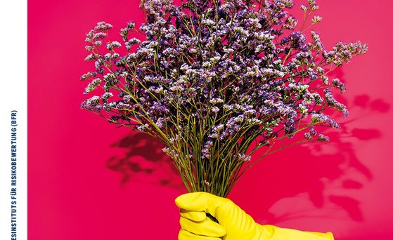 Cover BfR2GO Ausgabe 2/2023 Schwerpunkt Pflanzeninhaltsstoffe