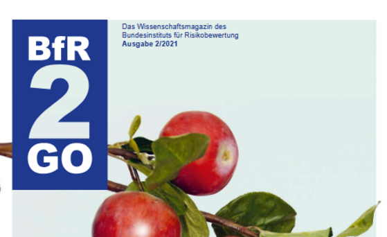 Cover BfR2GO 2/2021