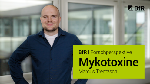 Porträtfoto von Marcus Trentzsch (links im Bildbereich) vor Fensterfront mit Blick auf Verbindungsbrücke zu nebenliegendem BfR-Gebäude. Rechts unten im Bild hellgrüne Textbox mit schwarzer Schrift mit Videotitel, oben rechts schwarzes BfR-Logo.