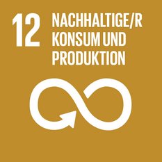 Icon des SDGs nachhaltiger Konsum
