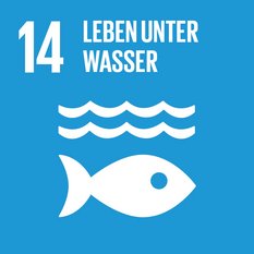 Icon des SDGs Leben unter Wasser