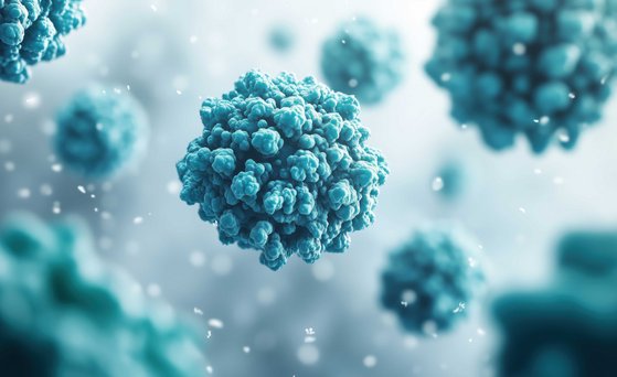 Mikrobiologie, Mikrobielle Risiken Microscopic image of noroviruses