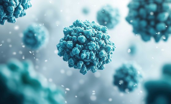 Mikrobiologie, Mikrobielle Risiken Mikroskopaufnahme von Noroviren.