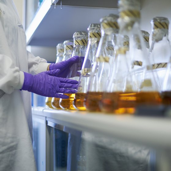 Erlenmeyerkolben mit bräunlich/orangener Flüssigkeit in der Flucht auf einem Tisch. Person mit weißem Kittel und lila Handschuhen in Laborsituation steht im Anschnitt davor.