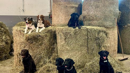 [Translate to Englisch:] 