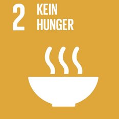 Icon des SDGs Kein Hunger
