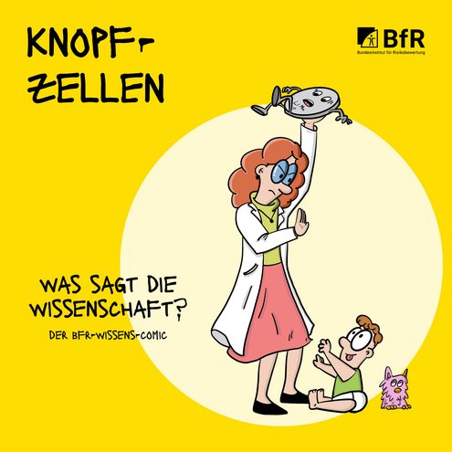 knopfzellen was sagt die wissenschaft? der bfr-wissens-comic