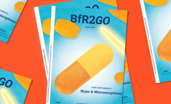 BfR2GO Cover 1/2025