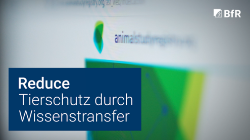 Abgefilmter Bildschirm der Webseite von animalstudyregistry.org