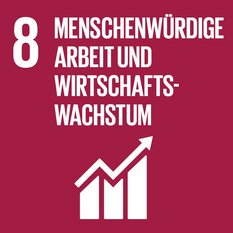 Icon des SDGs menschenwürdige Arbeit und Wirtschaftsraum