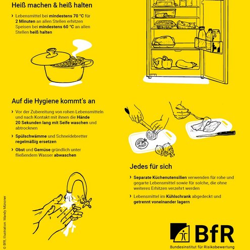 1x1 Küchenhygiene Salmonellen, Campylobacter, Listerien und Co. können in vielen Lebensmitteln vorkommen, besonders in tierischen Produkten. Wie sich Infektionen zu Hause in der Küche vermeiden lassen. Korrektes Kühlen · Leicht verderbliche Lebensmittel im Kühlschrank bei 2 °C bis max. 7 °C lagern – auch draußen und unterwegs kühl halten · Warme Speisen zur längeren Aufbewahrung zügig auf unter 7 °C runterkühlen (Abbildung eines Kühlschranks, befüllt mit vielen Lebensmitteln). Heiß machen und heiß halten Lebensmittel bei mindestens 70 °C für 2 Minuten an allen Stellen erhitzen, Speisen bei mindestens 60 °C an allen Stellen heiß halten (Abbildung eines dampfenden Kochtopfes). Auf die Hygiene kommt´s an · Vor der Zubereitung von rohen Lebensmitteln und nach dem Kontakt mit ihnen die Hände 20 Sekunden lang mit Seife waschen und abtrocknen · Spülschwämme und Schneidebretter regelmäßig ersetzen · Obst und Gemüse gründlich unter fließendem Wasser abwaschen (Abbildung von Händen unter einem Wasserhahn). Jedes für sich · Separate Küchenutensilien verwenden für rohe und gegarte Lebensmittel sowie für solche, die ohne weiteres Erhitzen verzehrt werden · Lebensmittel im Kühlschrank abgedeckt und getrennt voneinander lagern (Abbildung von zwei Schneidebrettern, auf einem werden Tomaten geschnitten, auf dem anderen Geflügel)