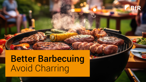 Photographic image of a charcoal grill with various types of meat and corn on the cob - well browned but not charred. 