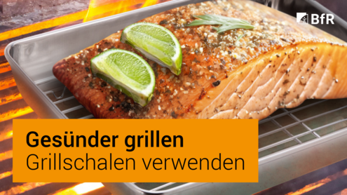 Fotografische Abbildung einer Grillschale, in der ein St&uuml;ck Lachs gegrillt wird.