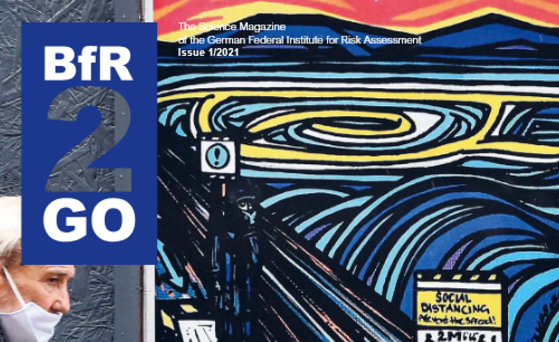 Cover BfR2GO 1/2021