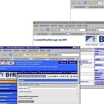 Die Datenbanken des BfR