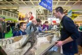 IGW 2014 - Bild 13
