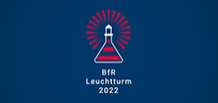 Grafik zu den BfR-Leuchtturmprojekten