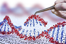 Grafik zur Verbraucherkonferenz Genome Editing