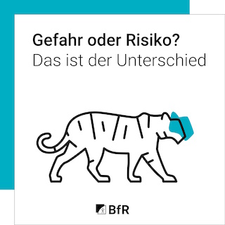Download Infografik zu Gefahr oder Risiko