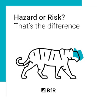 Download Infografik zu Gefahr oder Risiko