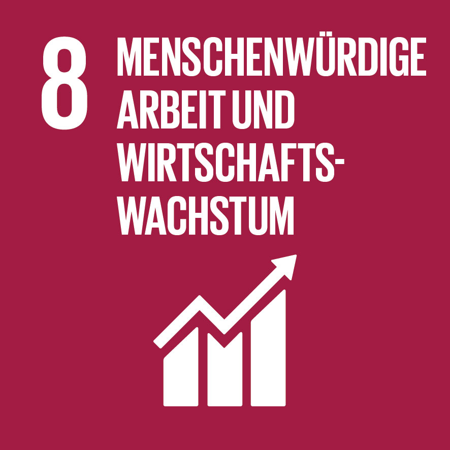 SDG Icon DE - Ziel 8: Nachhaltiges Wirtschaftswachstum
