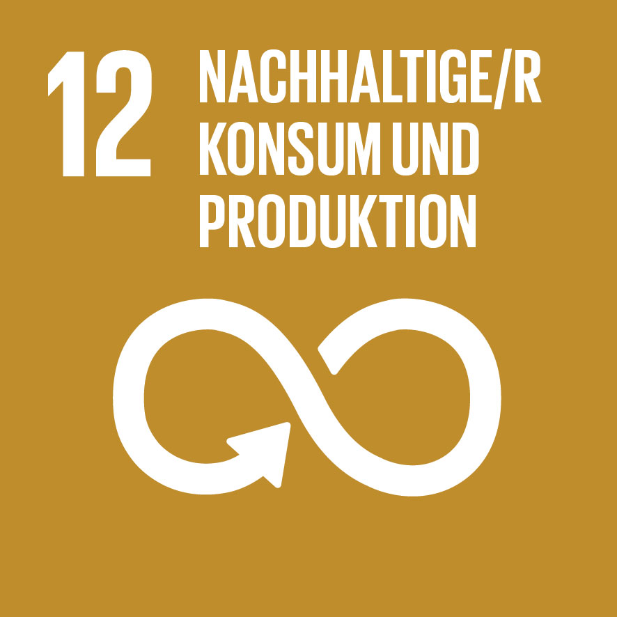 SDG Icon DE - Ziel 12: Nachhaltiger Konsum und nachhaltige Produktion