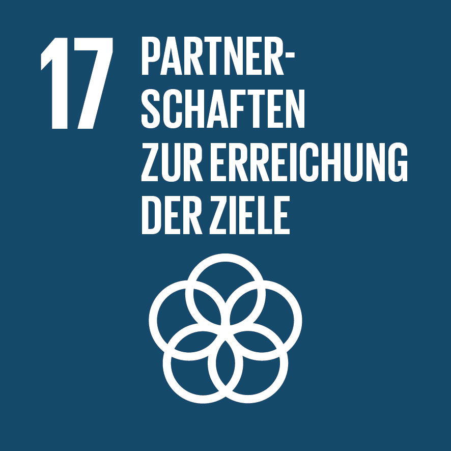 17 - Globale Partnerschaften