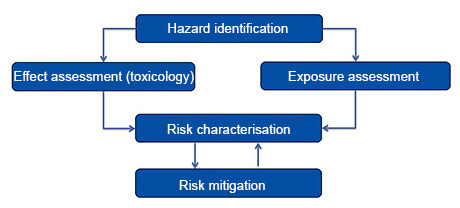 Risk assessment diagram
