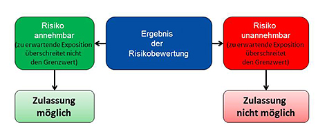 Schematische Darstellung der Risikocharakterisierung