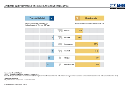 Inforgafik Antibiotika in der Tierhaltung: Therapiehäufigkeit und Resistenzrate