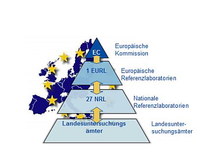 Bildliche Darstellung der Beziehung der EC, EURL, NRL und Landesuntersuchungsämter in Deutschland