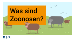 Was sind Zoonosen?