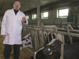Notwendigkeit von Antibiotika in der Nutztierhaltung